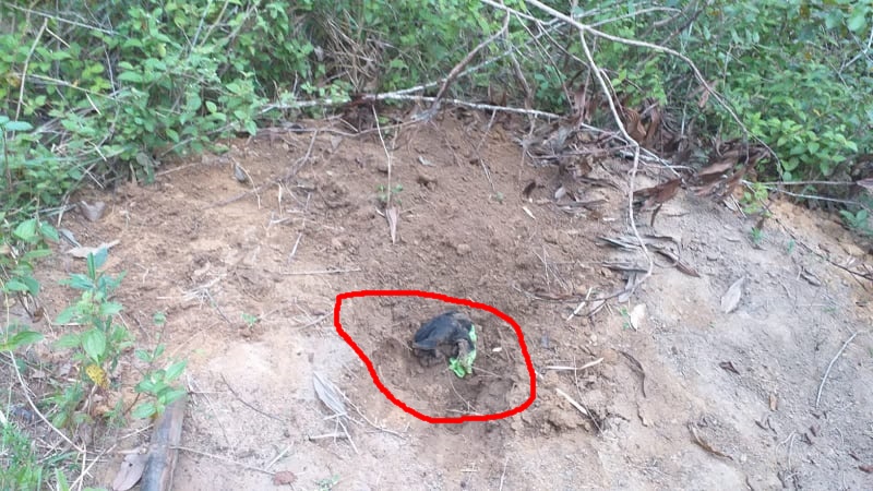 Fam Lia Reconhece Jovem Encontrado Enterrado Em Cova Rasa Em Itabela