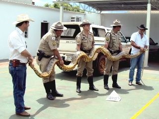 Foto: Foto Divulgação