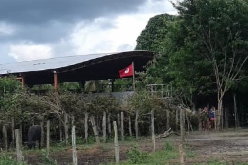 Foto: :Divulgação