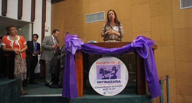 Projeto antibaixaria &eacute; aprovado com apoio da bancada feminina