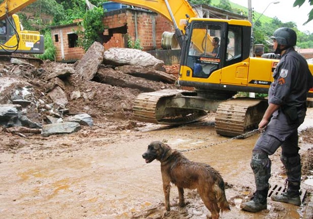 C&atilde;es farejadores tamb&eacute;m auxiliam nas buscas &agrave;s v&iacute;timas (Foto: Carolina Lauriano/G1)