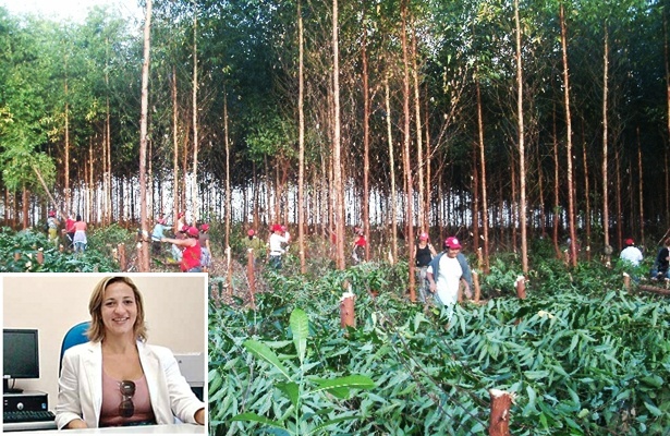 Mulheres do MST no primeiro de invas&atilde;o &agrave; Fazenda Esperan&ccedil;a, pertencente &agrave; Suzano. No detalhe, a ju&iacute;za N&ecirc;mora de Lima Janssen dos Santos, que concedeu liminar determinando a reintegra&ccedil;&atilde;o de posse da fazenda