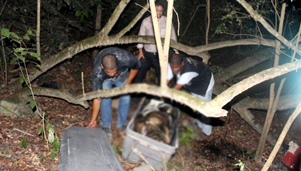 O resgate dos corpos foi conclu&iacute;do &aacute;s 3h desta quarta (25) (Foto: Sul Bahia News)
