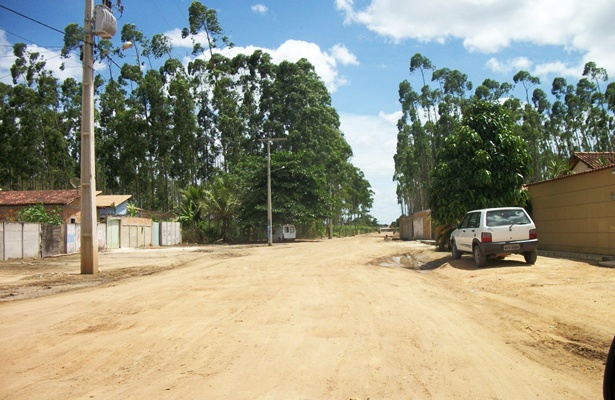Planta&ccedil;&atilde;o de eucalipto invade bairros de Itabela