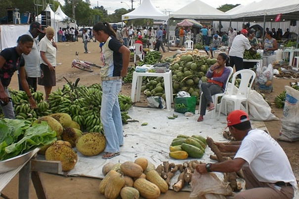 Fotos: Athylla Borborema (Teixeira News).