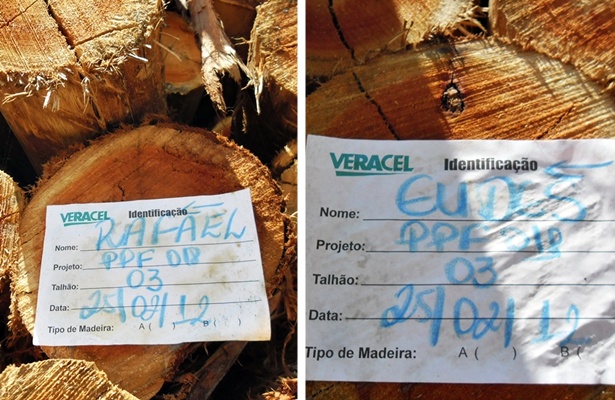Madeira com identifica&ccedil;&atilde;o da empresa Veracel Celulose
