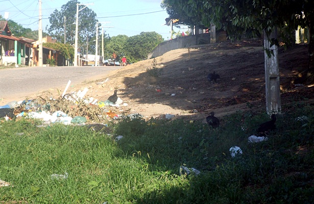 Urubus j&aacute; fazem parte da paisagem do distrito