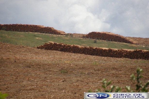 Fazenda conjunto Monte Pascoal ,escrito no PPF, 040.