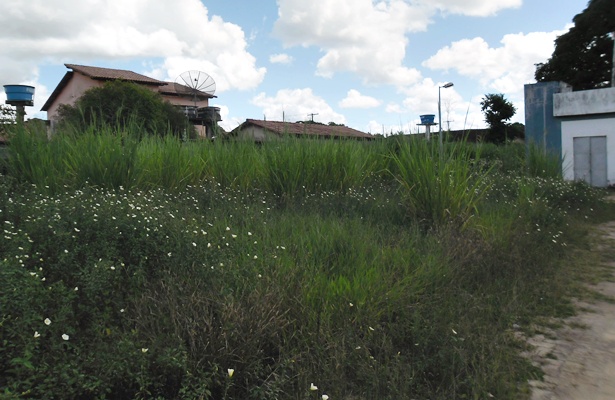 O enorme matagal que cresceu no local acaba oferecendo risco as vizinhos