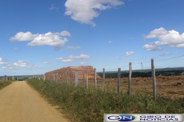 Fazenda Santo Ant&ocirc;nio da &Aacute;gua Branca,escrito no PPF 042.