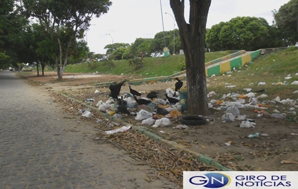 Lixos espalhados &aacute;s margens da BR 101,centro da cidade